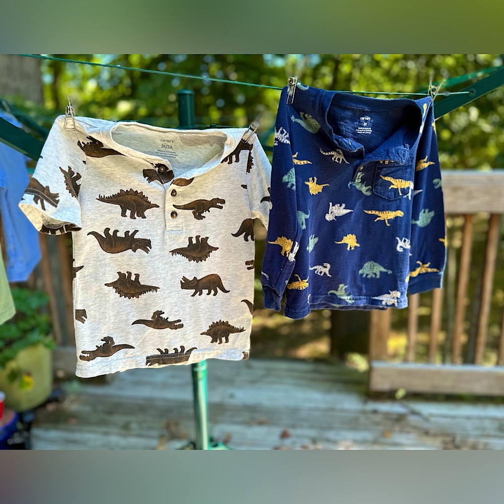 Carter’s Dinosaur Top Set 3T